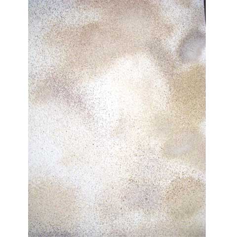 Muschelbilder von Wigand Schmidt