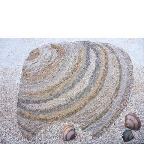 Muschelbilder von Wigand Schmidt